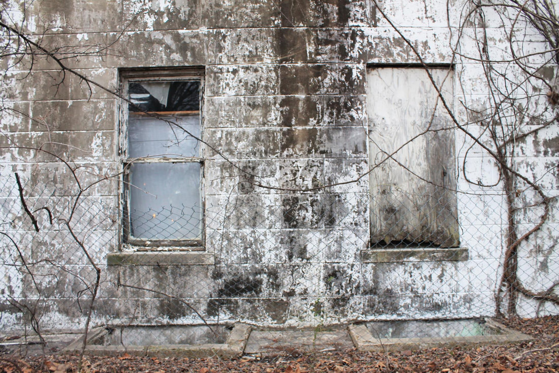 As It Is &mdash; Tennessee, image 7, by Jerri Castillo
